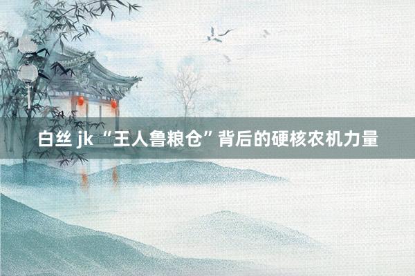 白丝 jk “王人鲁粮仓”背后的硬核农机力量