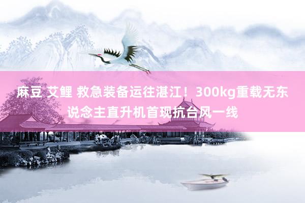 麻豆 艾鲤 救急装备运往湛江！300kg重载无东说念主直升机首现抗台风一线