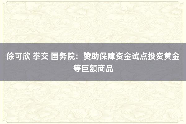 徐可欣 拳交 国务院：赞助保障资金试点投资黄金等巨额商品
