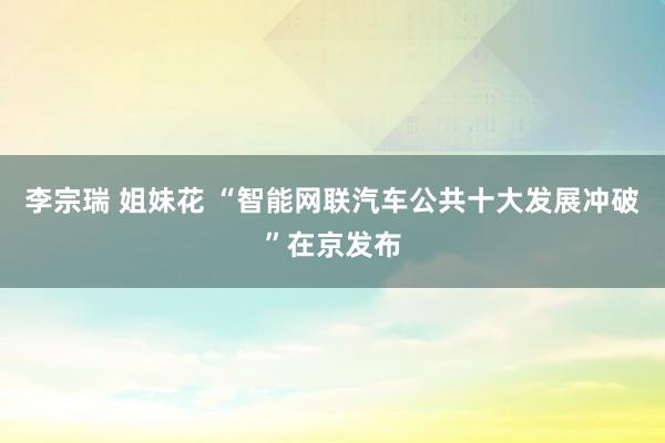 李宗瑞 姐妹花 “智能网联汽车公共十大发展冲破”在京发布