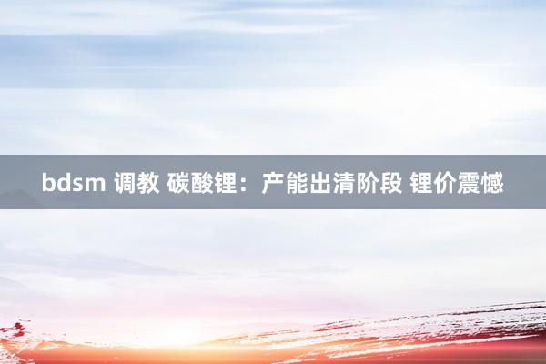 bdsm 调教 碳酸锂：产能出清阶段 锂价震憾