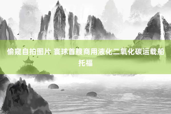 偷窥自拍图片 寰球首艘商用液化二氧化碳运载船托福