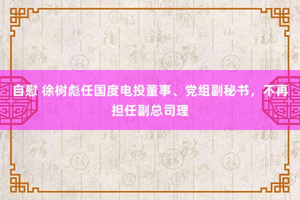 自慰 徐树彪任国度电投董事、党组副秘书，不再担任副总司理