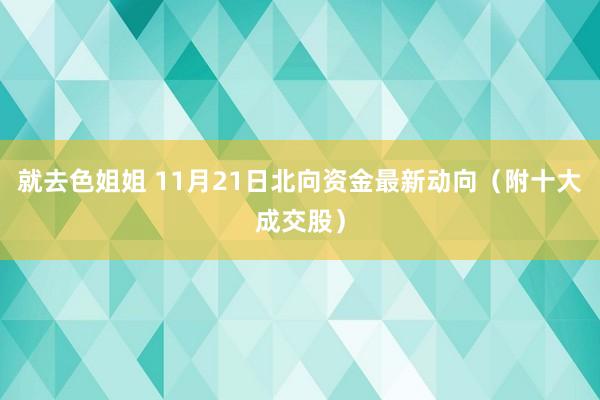 就去色姐姐 11月21日北向资金最新动向（附十大成交股）