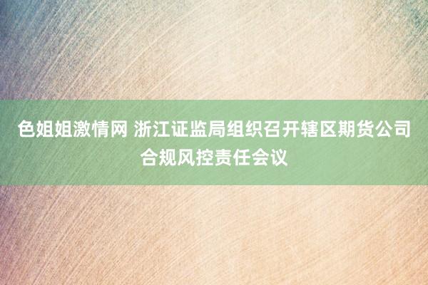 色姐姐激情网 浙江证监局组织召开辖区期货公司合规风控责任会议