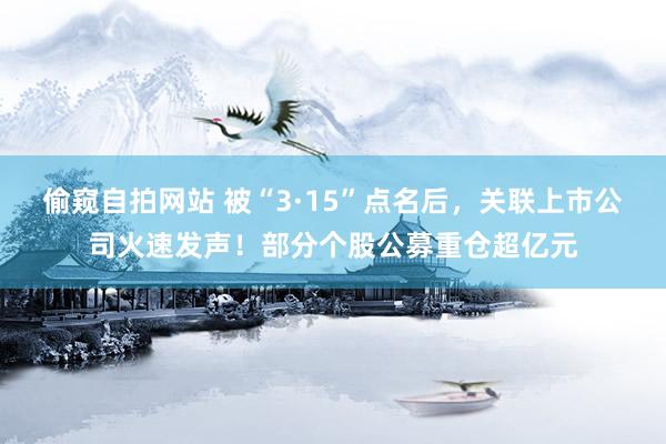 偷窥自拍网站 被“3·15”点名后，关联上市公司火速发声！部分个股公募重仓超亿元