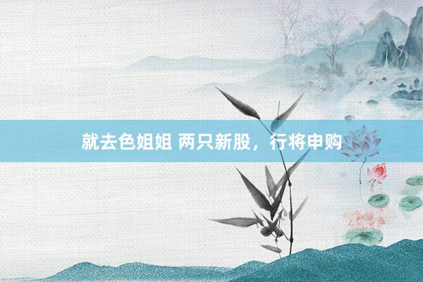 就去色姐姐 两只新股，行将申购
