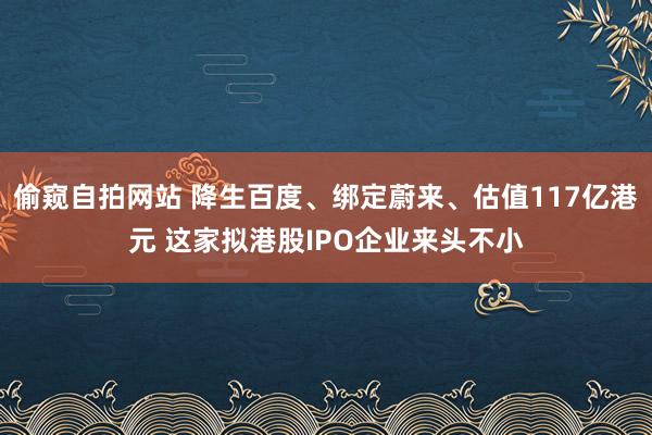偷窥自拍网站 降生百度、绑定蔚来、估值117亿港元 这家拟港股IPO企业来头不小