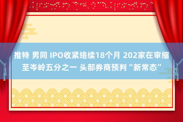 推特 男同 IPO收紧络续18个月 202家在审缩至岑岭五分之一 头部券商预判“新常态”