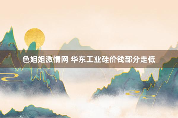 色姐姐激情网 华东工业硅价钱部分走低